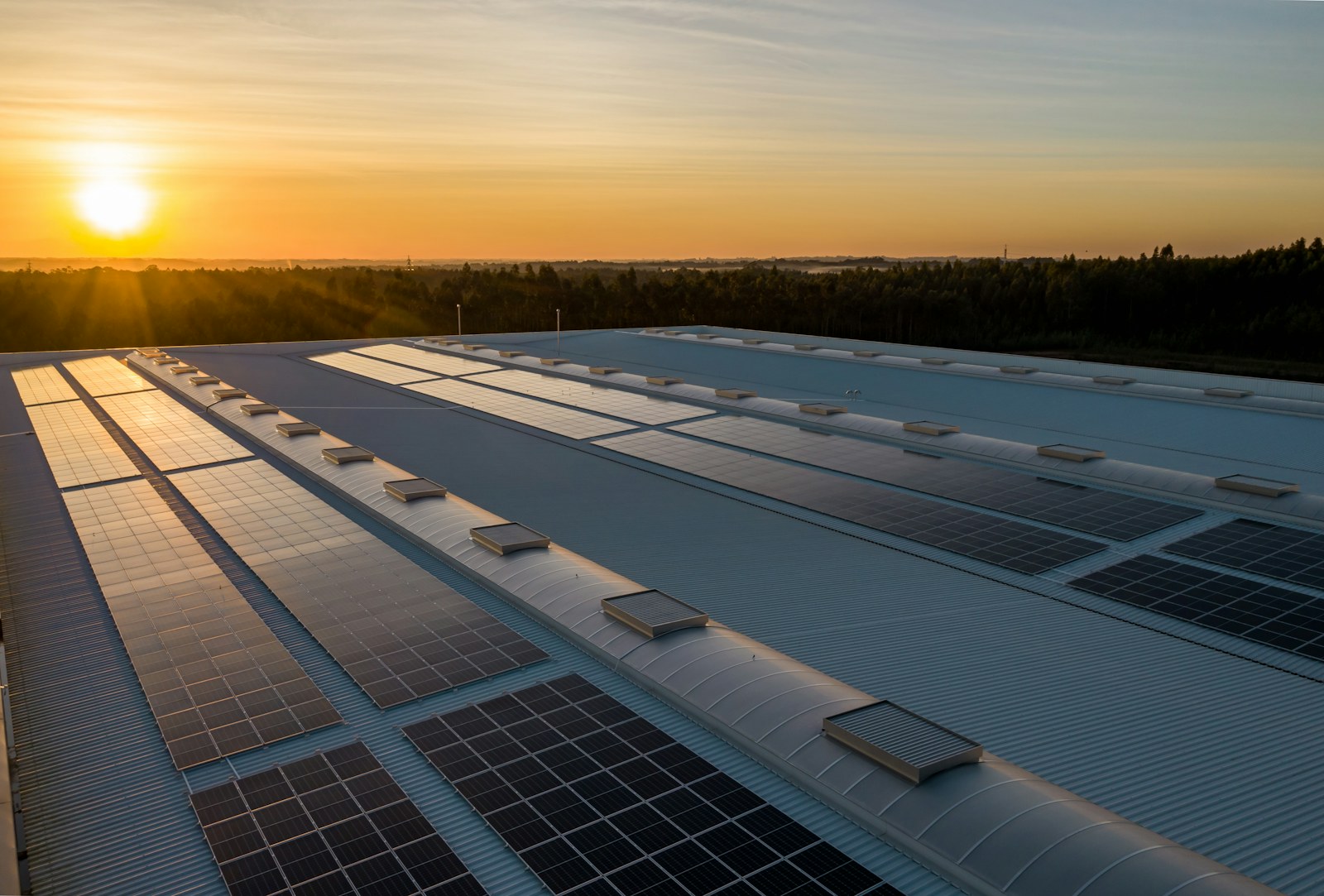 Rooftop photovoltaic modules on a commercial building at sunset.