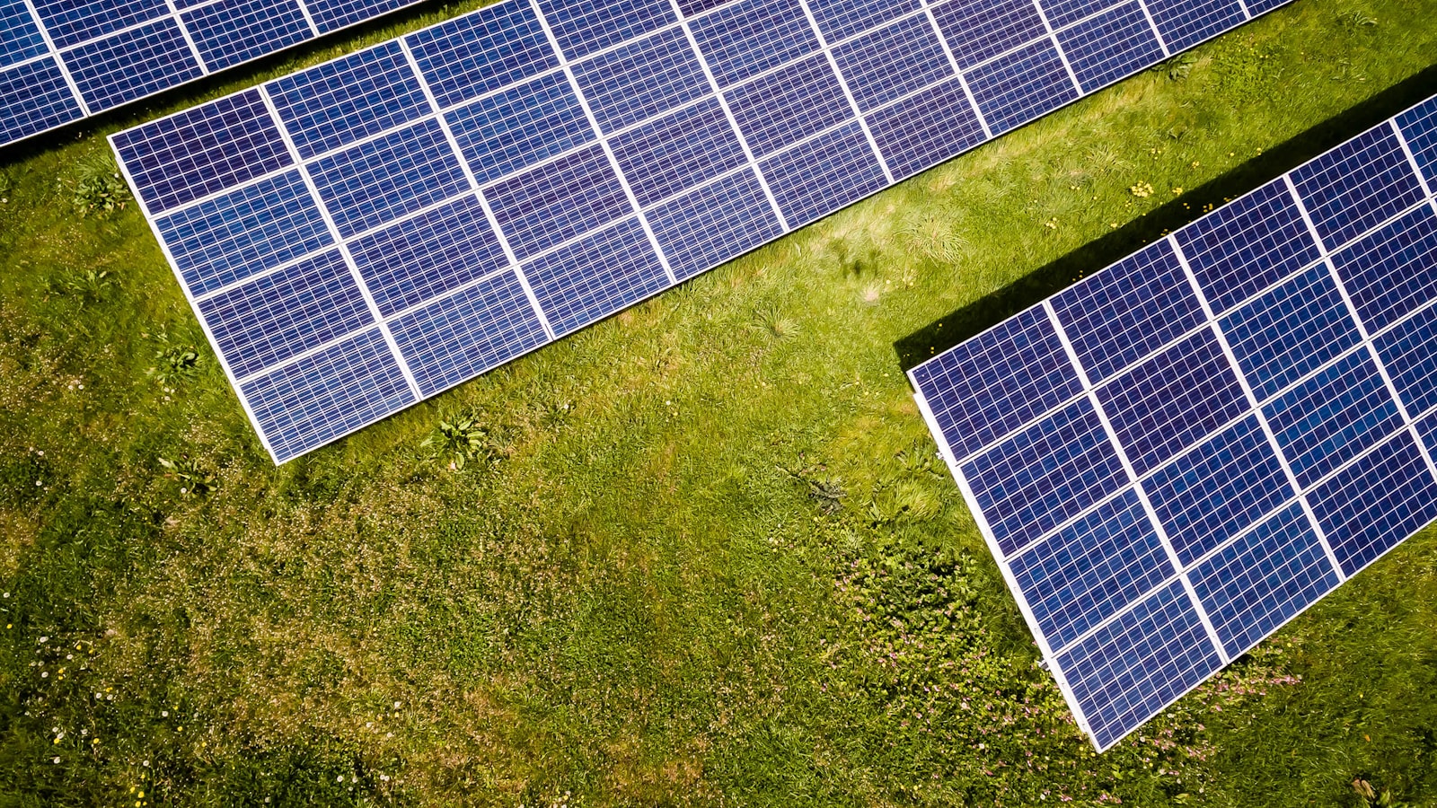 Aerial view of photovoltaic arrays on grass.